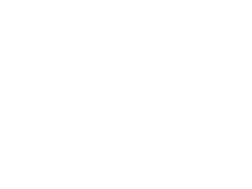 Logo Aplicación óptima de la ecografía en la Ginecoobstetricia