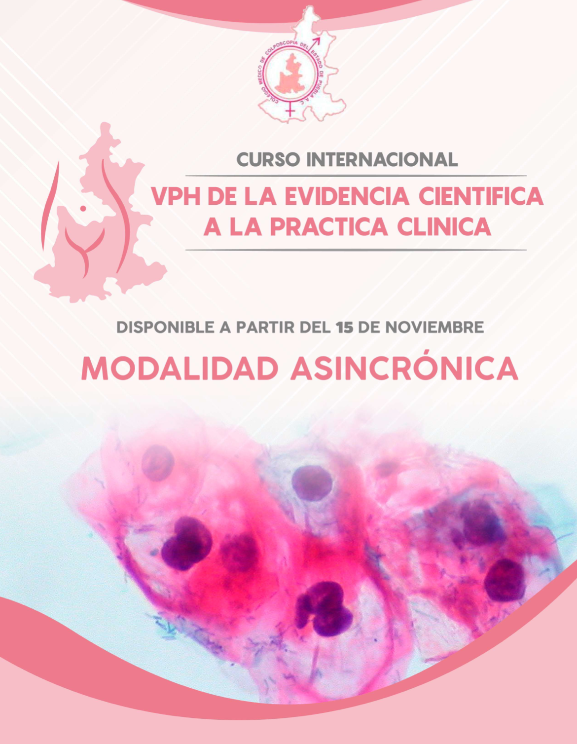 Comunicado Curso Internacional VPH: De la evidencia a la práctica